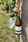 2021 Barrel Fermented Chardonnay - View 4